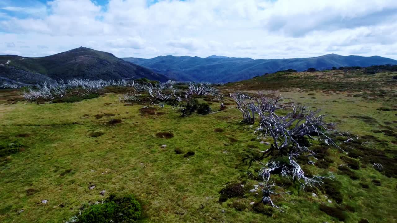 산길 위에서 산악 자전거 라이더 주위를 회전하는 드론