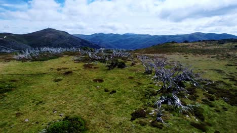 drone girando alrededor de ciclistas de montaña en la cima de un sendero de montaña
