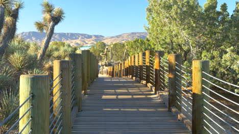 a man on a morning jog after a workout running away from the camera in the distance through a desert nature preserve in lancaster, california