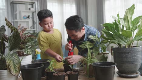 father and son transplanting plant at home