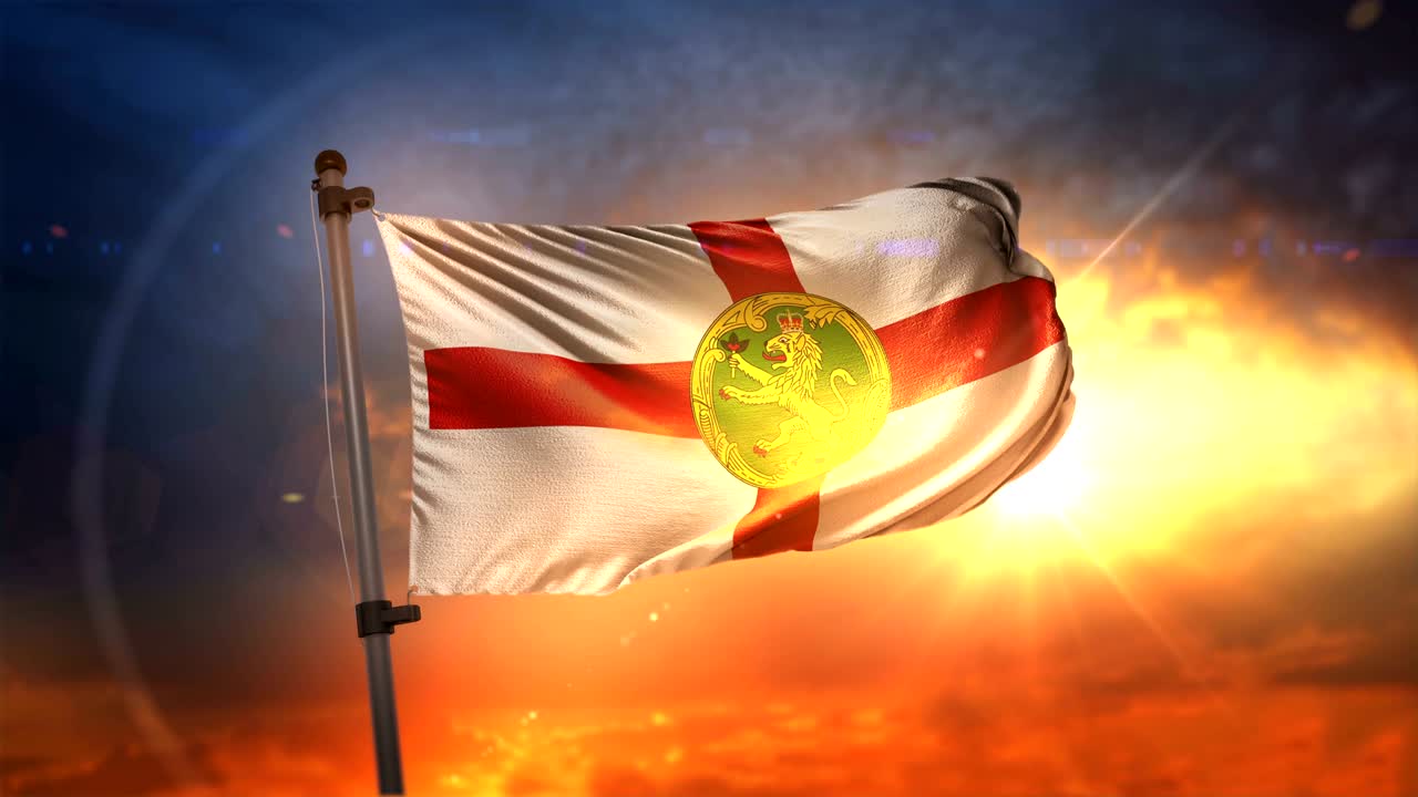 알더니 발은 아름다운 해가 뜨는 순환 속도 느린 모션 4k에서 백라이트됩니다.