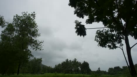 timelaps in rain with trees in front