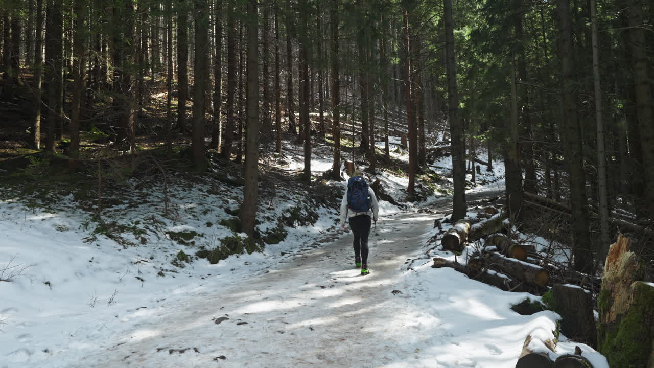 Female athlete hiking alone through a snowy forest. Static