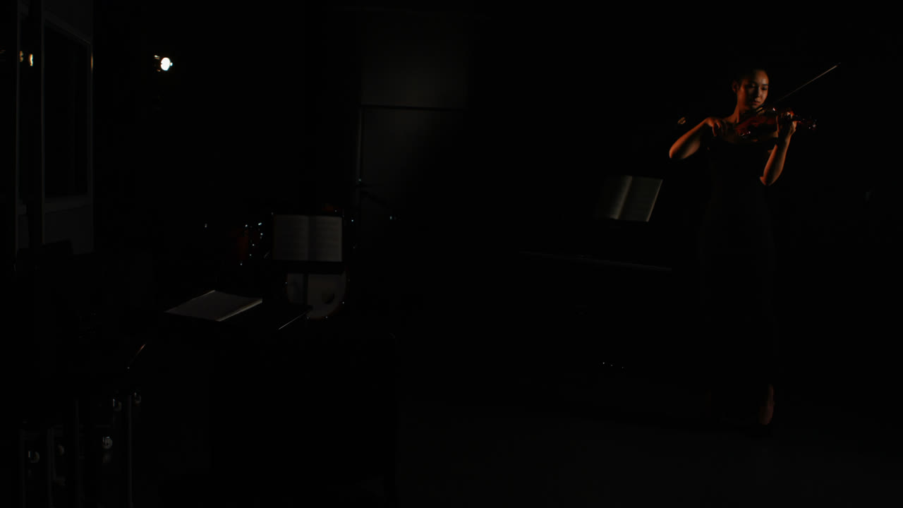 mujer tocando un violín