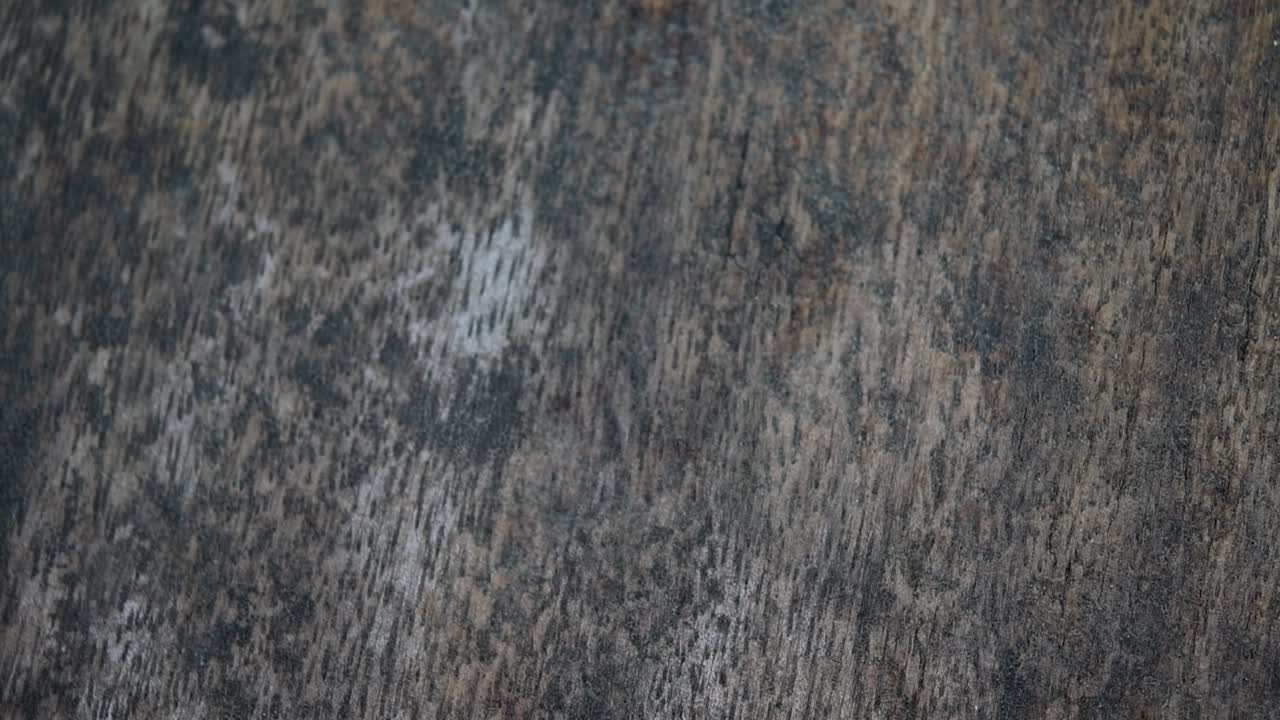 serpiente de tubo de cola roja, cylindrophis ruffus, descansaba sobre un piso de madera y se enrollaba en una figura de ocho nudos deshaciéndose y saliendo del marco