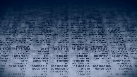 binary code gray background. web online streaming with digital technology loop animation. number zero and one. computer network.
