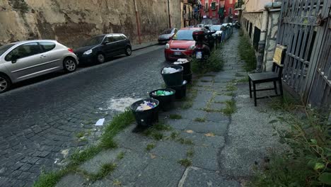 cars parked along a narrow, cobblestone street