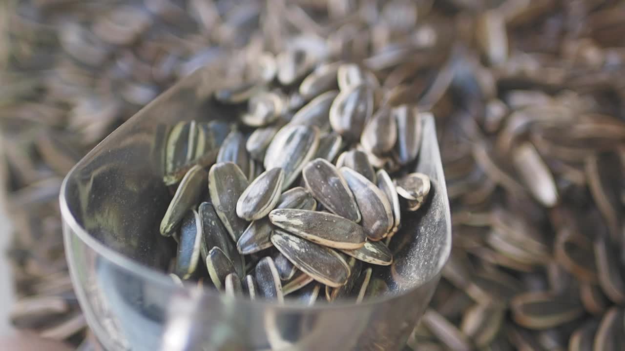 Sunflower Seeds in a Scoop