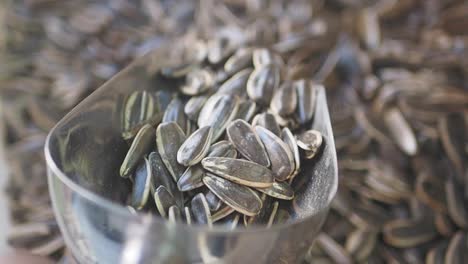 sunflower seeds in a scoop