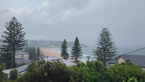 Static shot, among houses and pine trees, of Curl Curl beach during heavy rain on the beach