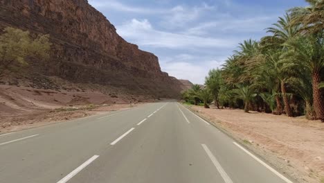 punto de vista de un conductor entre un acantilado y un oasis en una zona desértica