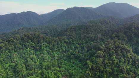 aerial view of beautiful green rainforest in gunung leuser national park, the tropical rainforest heritage of sumatra, indonesia