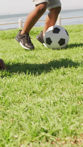 video de piernas de padre e hijo afroamericanos jugando al fútbol al aire libre y divirtiéndose