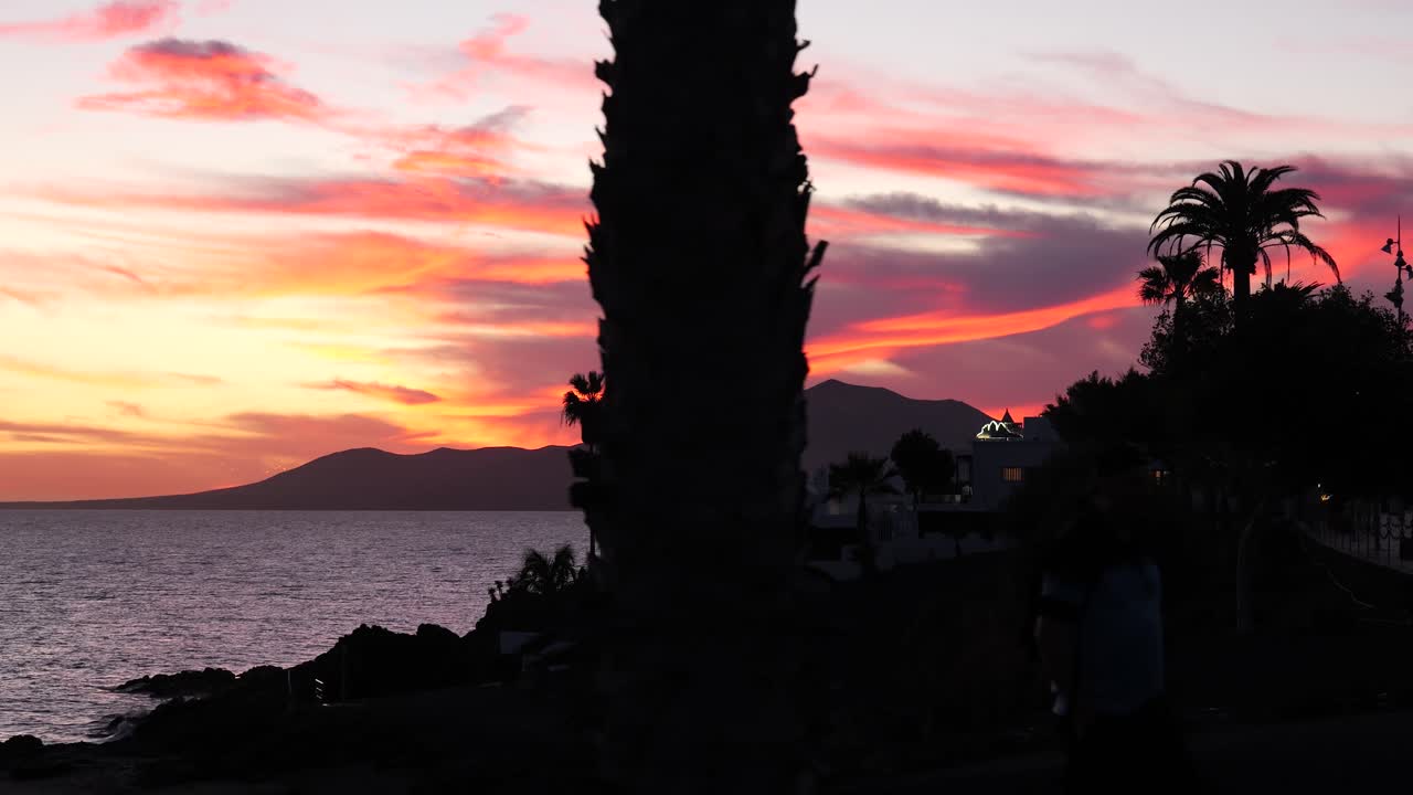 나무 와 산 들 과 함께 바다 위 에 해가 지는 것