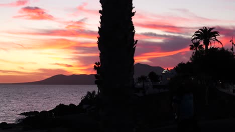 sunset over the ocean with palm trees and mountains