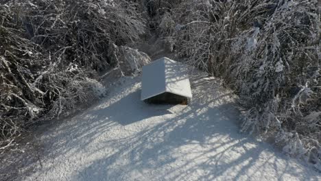 aerial of snowed in garden shed in a wooded area in winter