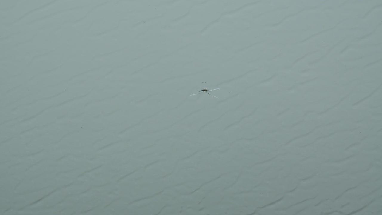 lluvia fuerte cayendo en un parabrisas de coche agrietado en un día nublado