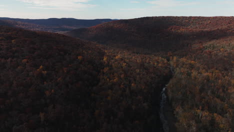 lee creek amid the dense forest of state park in arkansas, usa