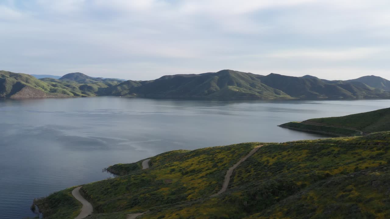 캘리포니아 슈퍼 블룸 기간 동안 배경에 있는 아름다운 야생화로 뒤덮인 산과 큰 호수의 드론 샷