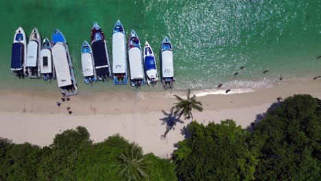 Tourists-boats-on-a-sunny-day-in-a-tropical-paradise-with-turquoise-water-and-limestone-cliffs