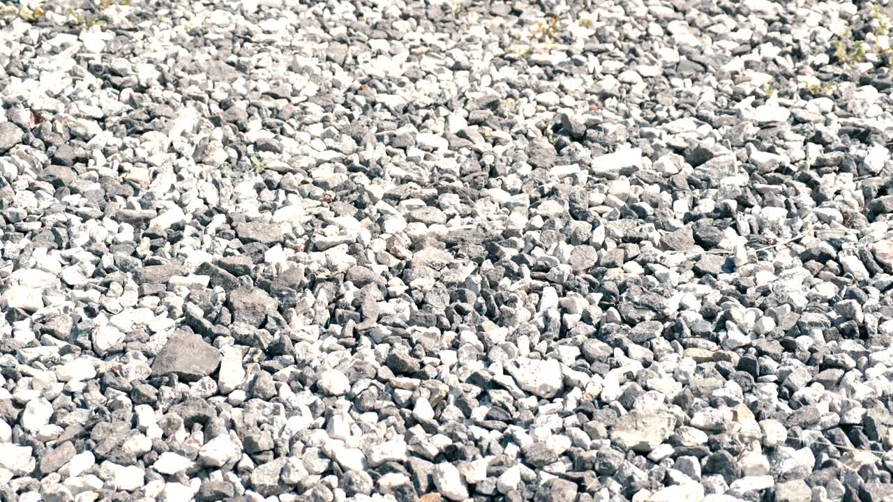 Gray pebbles close-up.