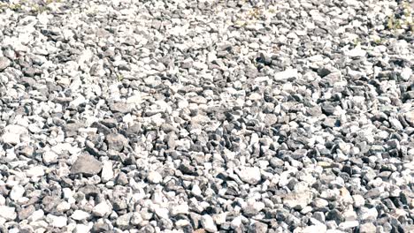 gray pebbles close-up.