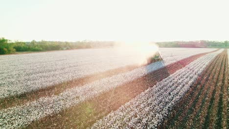 intense agricultural scene, following cotton picker harvesting at sunset