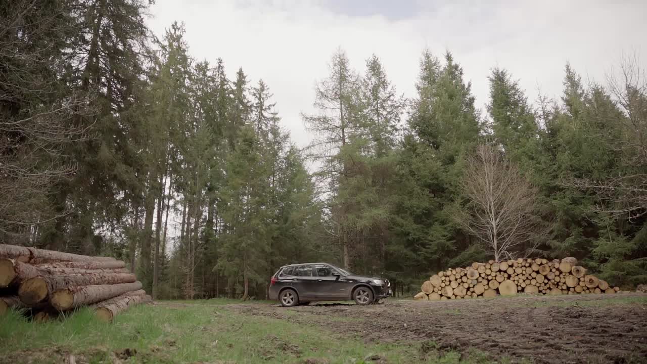 A SUV drives past timber stacks and exits the frame toward a coniferous forest in summer