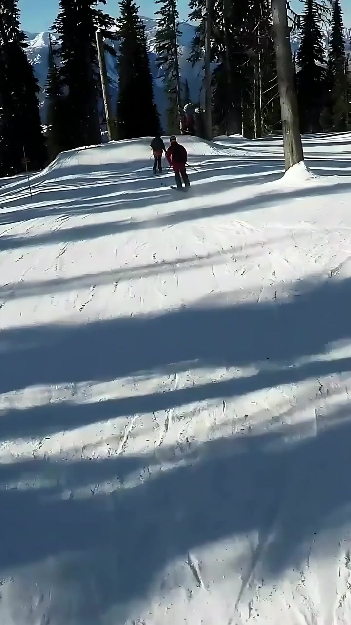 Vertical video: Starting downhill, camera following skiers one in red descending forest run for fun
