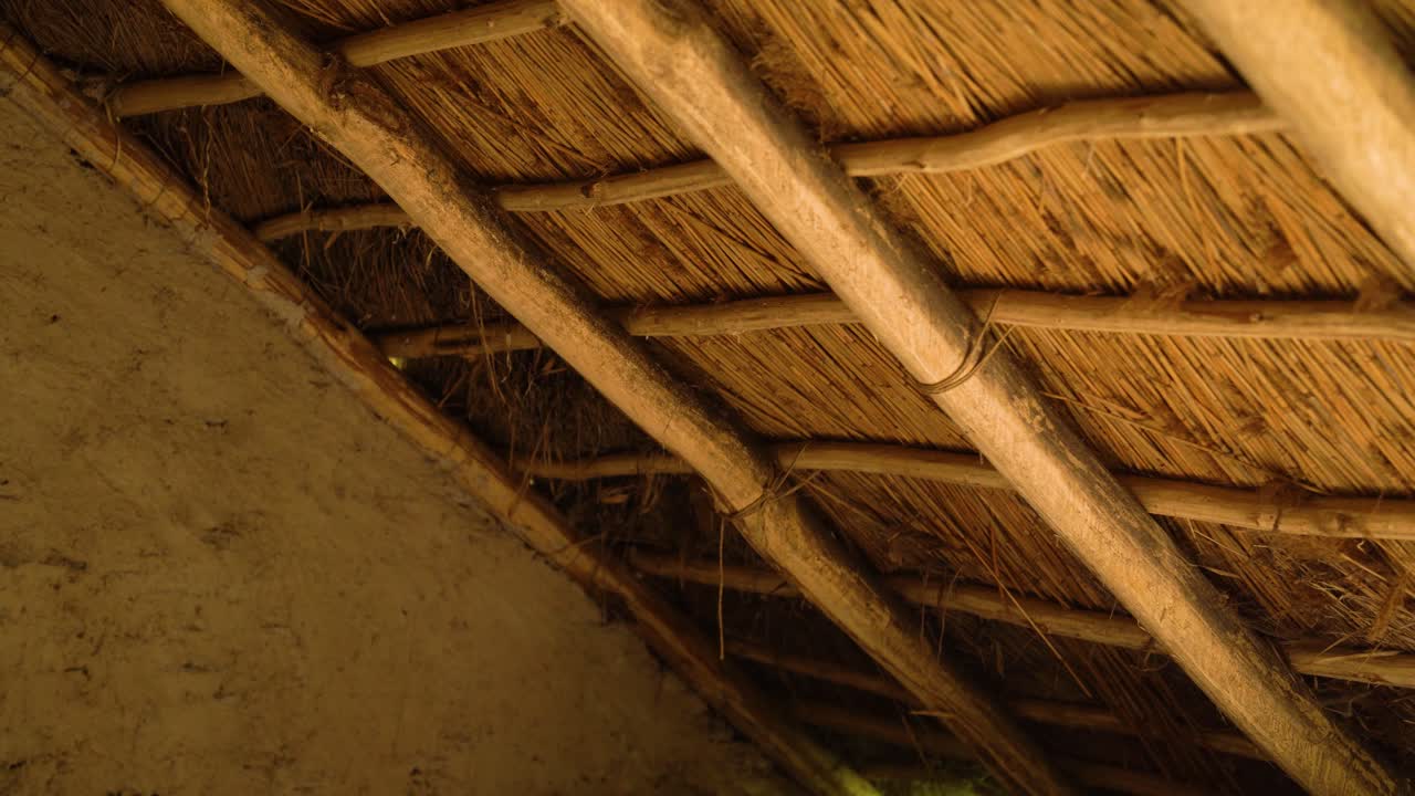Inside view of a thatched roof showing interwoven sticks and beams in warm light