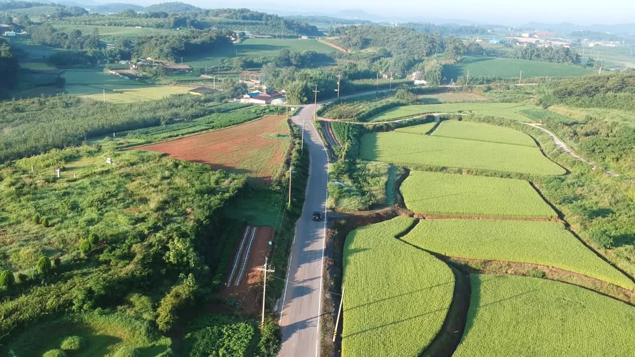 beautiful aerial view of Paddy farm land, Gwangju, South Korea