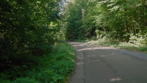 Pequeño-Camino-De-Guijarros-En-El-Bosque-Verde-Gyllebo-En-El-Sur-De-Suecia-Österlen,-Tiro-Ancho-Siguiendo-Hacia-Adelante