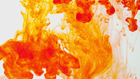 orange paint or dye dropped into water against white background to create swirling colourful smoke background 8