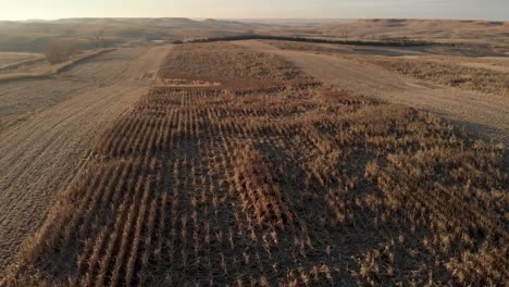 vista aérea del campo de milo cerca de dallas en dakota del sur