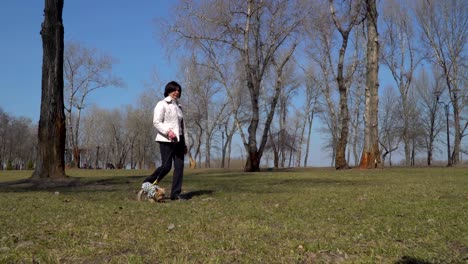 senior woman walk in park with little dog