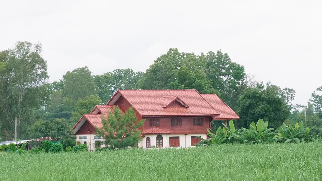 House zoomed out in the middle of farmland surrounded by trees, bananas, and corn at farmland
