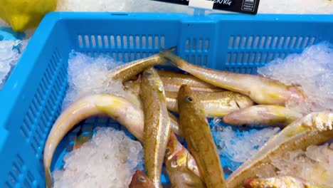 pescado de merluza en el hielo para la venta