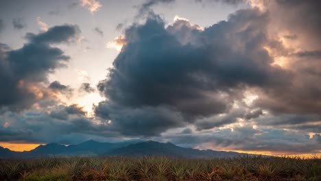 beautiful clouds flowing over hawaiian pineapple field