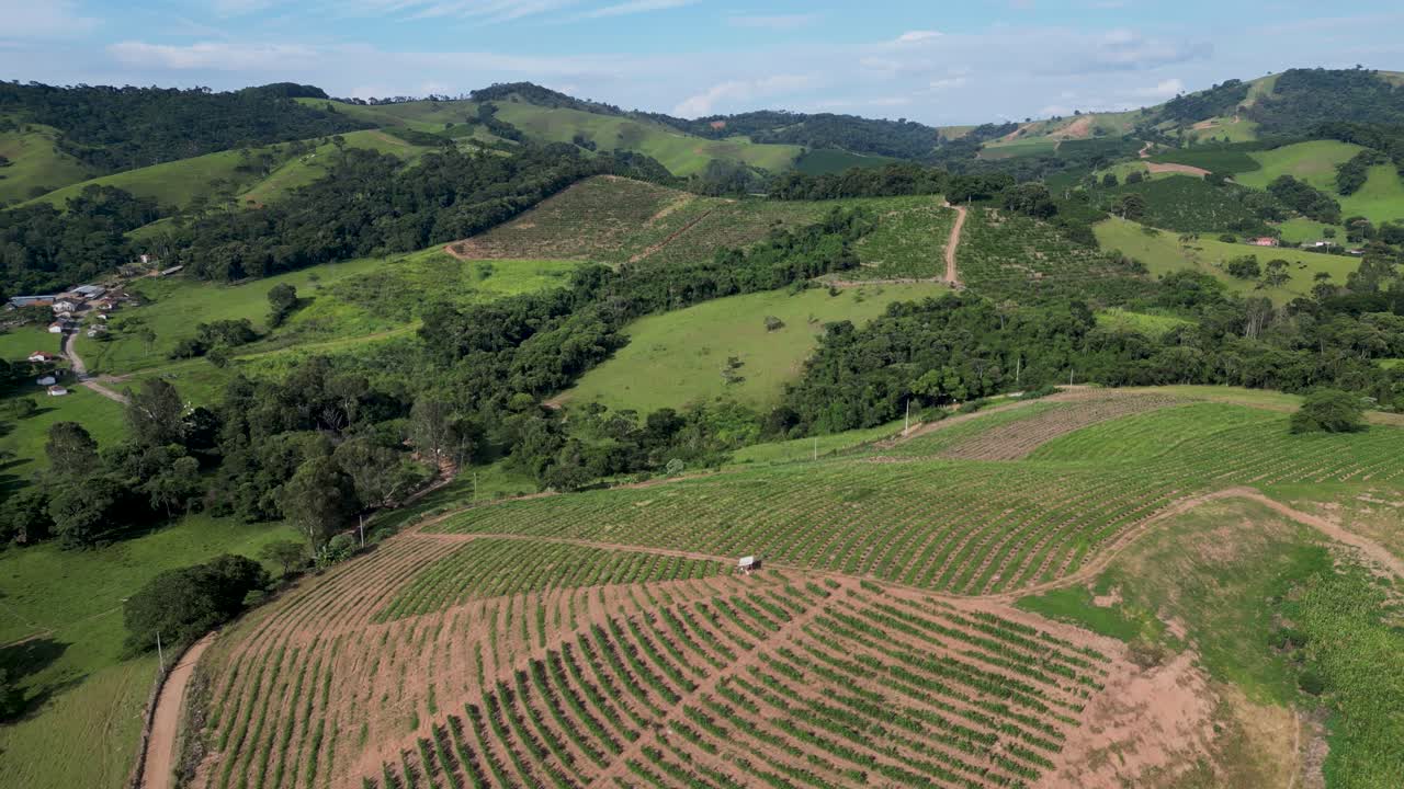 Aerial panoramic view of a big coffee plantation in the state of Minas Gerais, a famous area for coffee plantations in Brazil.