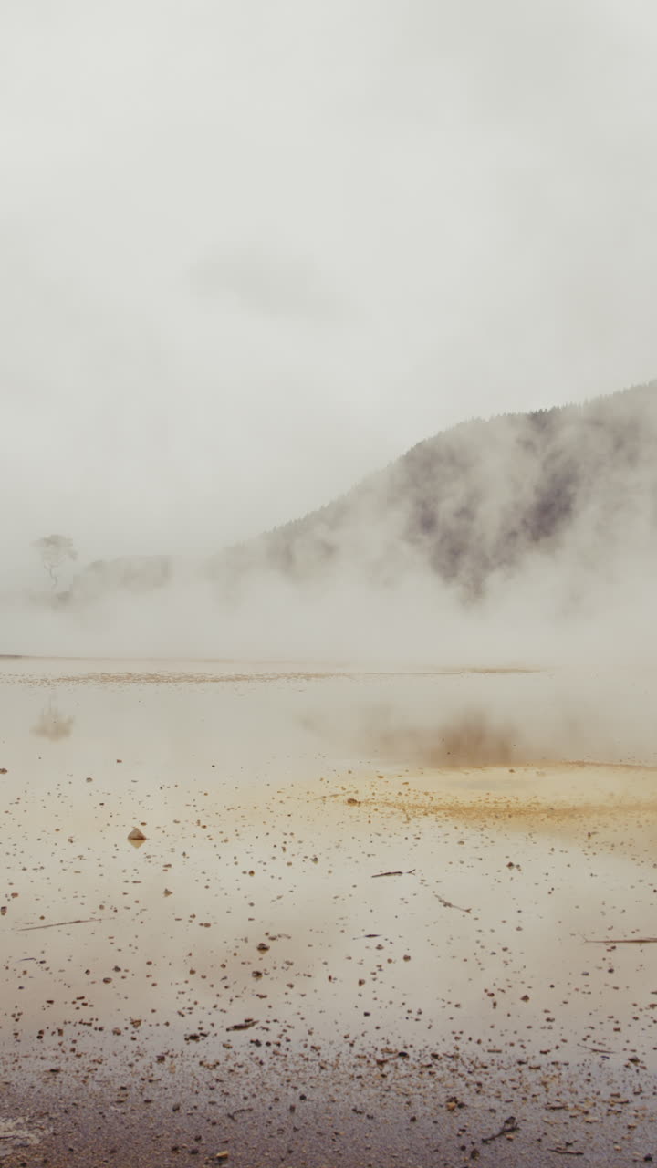 Misty Geothermal Landscape