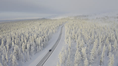 雪覆蓋的森林中間的冬季公路的空中景色,車輛在行駛