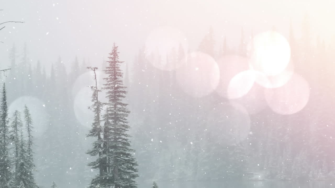 눈이 내리는 곳과 겨울 풍경 위의 빛의 반점의 애니메이션