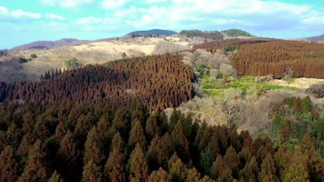 drone shot of mountains near kokonoe yume otsurihasi