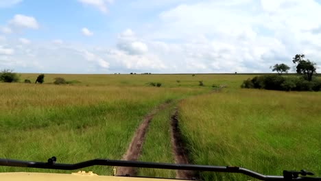 view from inside a 4x4 car traveling on a rural road,during a safari in the middle of a grassy plain