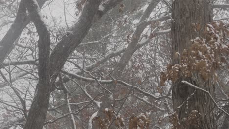 Tormenta-De-Nieve-Que-Pasa-Sobre-Las-Orillas-Del-Lago-Michigan-En-Muskegon