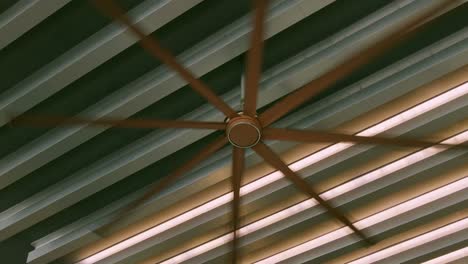 a dynamic ceiling fan captures the essence of modern indoor architecture and design.