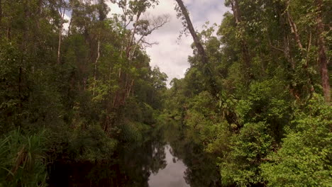 Fliegen-über-Den-Fluss-Im-Dschungel-Von-Kalimantan