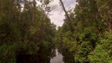 flying over river in the jungle of kalimantan