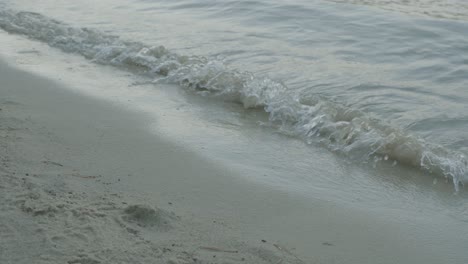 gentle waves on the shore