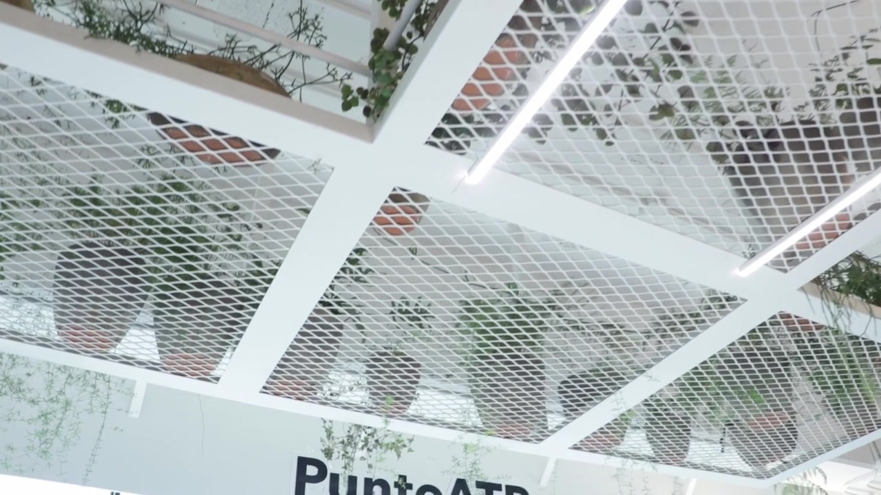 Slow motion dolly shot of plants overhanging above LED strips
